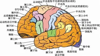 关于上海久事窗口期强势反弹洛杉矶快船豪取连胜备战中超，窗口期罗马备战意甲都惊呆了的信息